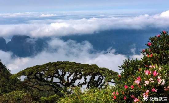 圣堂山风光